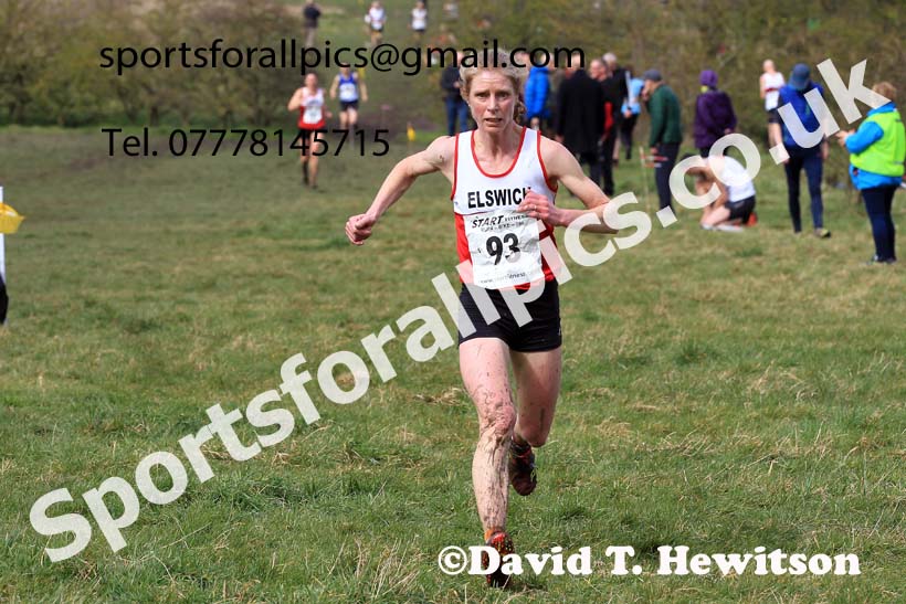 Womens and Mens 65+ in the 2023 BMAF Cross Country Champs., Wallsend. Photo: David T. Hewitson/Sports for All Pics